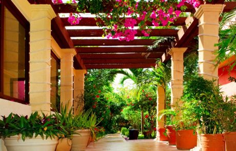 תחזוקה של עץ