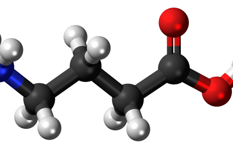 גאבה – תוסף תזונה מדריך מלא