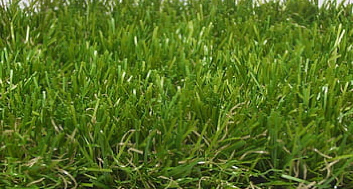 דשא סינטטי – הדשא של השכן ירוק יותר