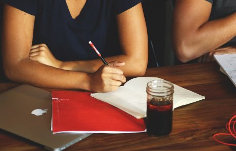 מידע על כלב זאב