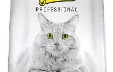 אוכל לחתולים – בחירת מזון לחתולים יותר פשוט ממה שחשבתם