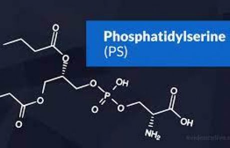פוספטידיל סרין (Phosphatidylserine) מהו